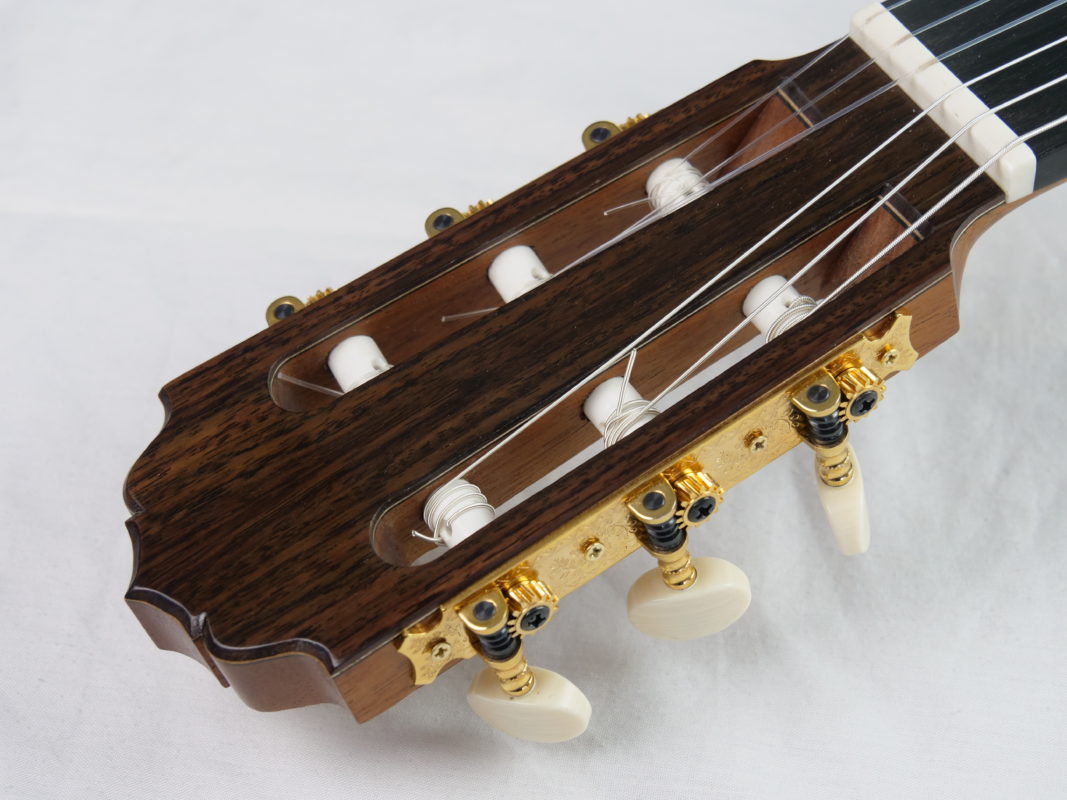 Classical concert guitar