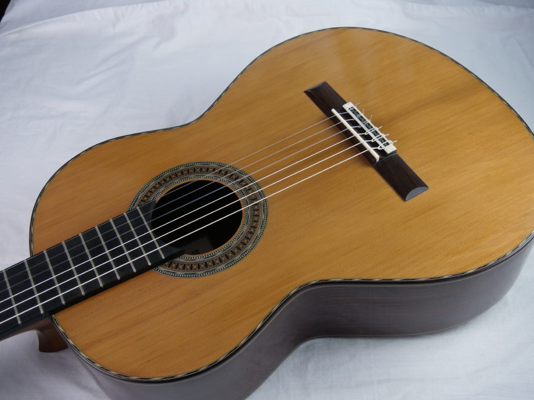 Classical concert guitar