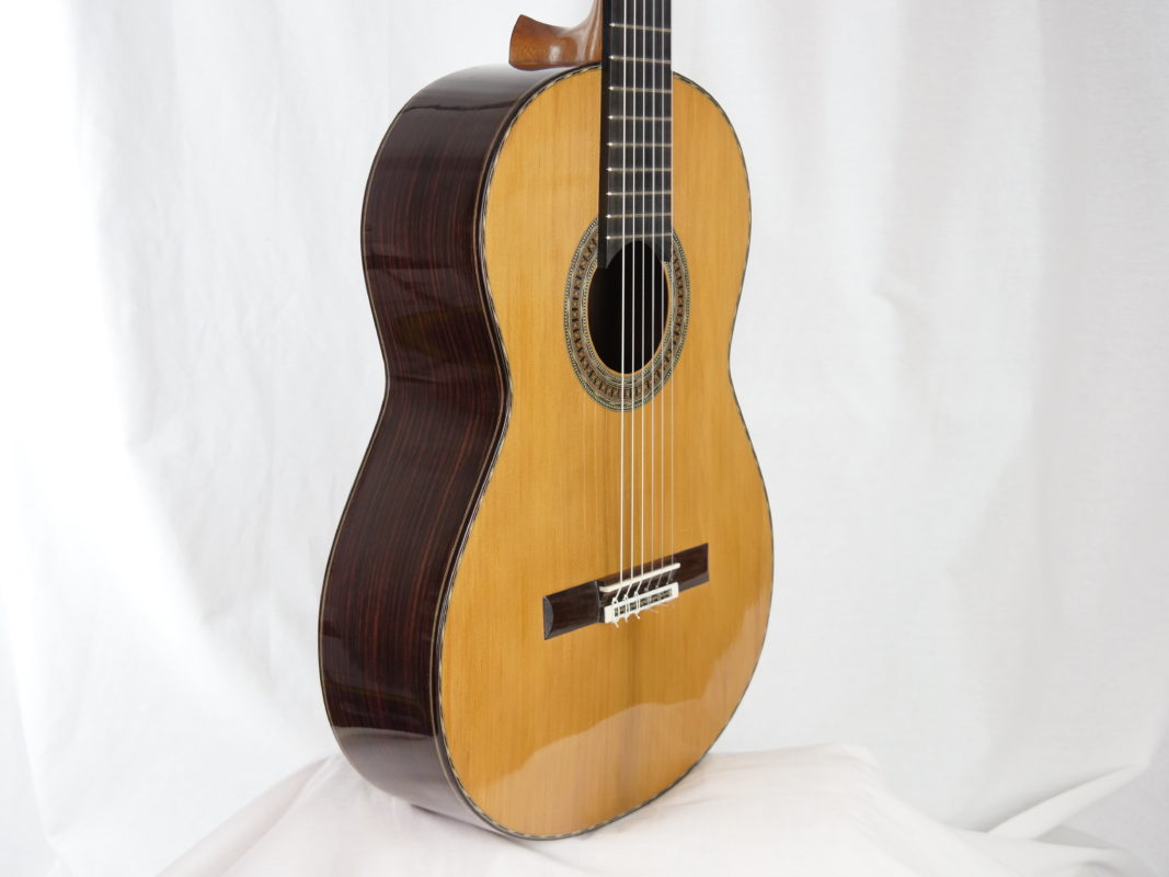 Classical concert guitar