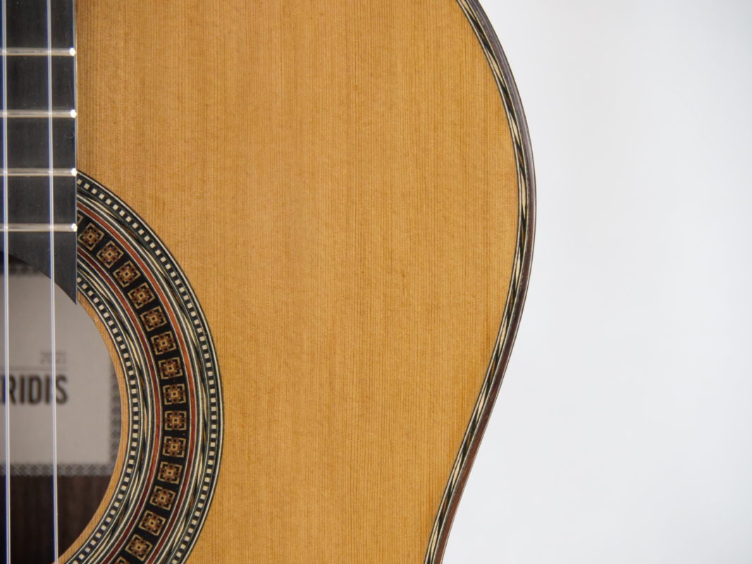 Classical concert guitar