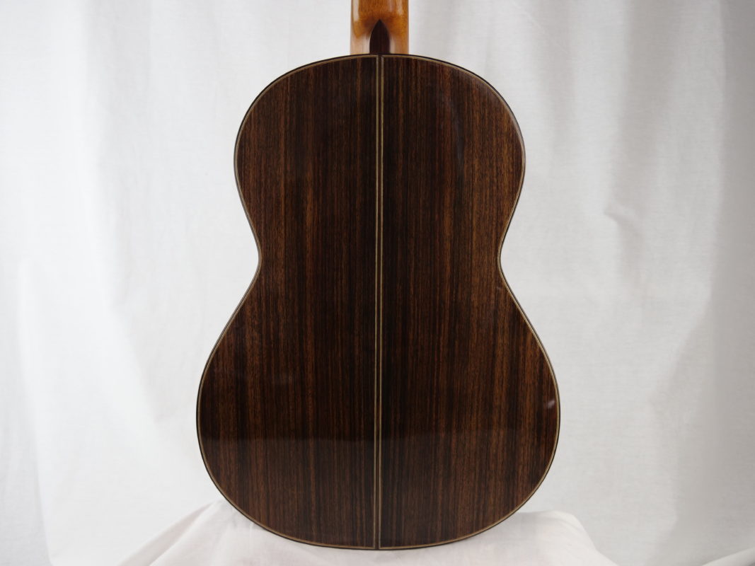 Classical concert guitar