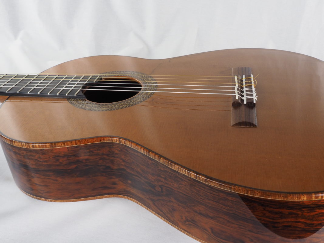 Classical concert guitar