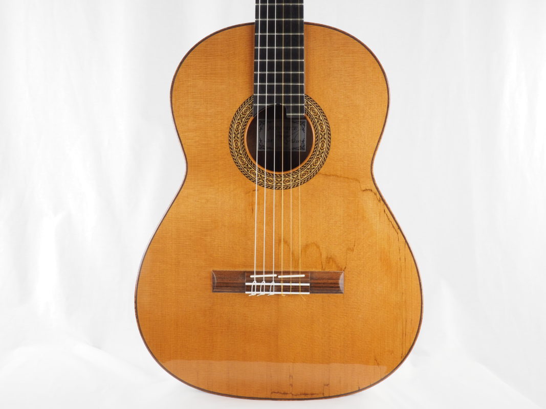 Classical concert guitar