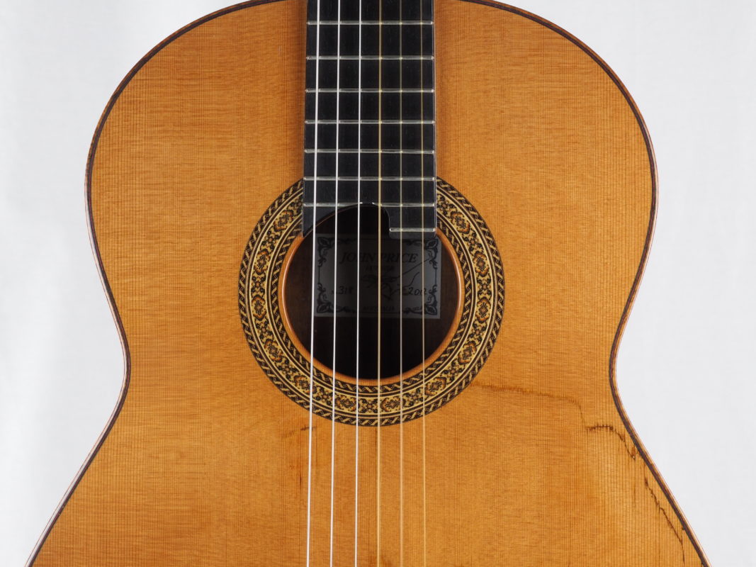Classical concert guitar