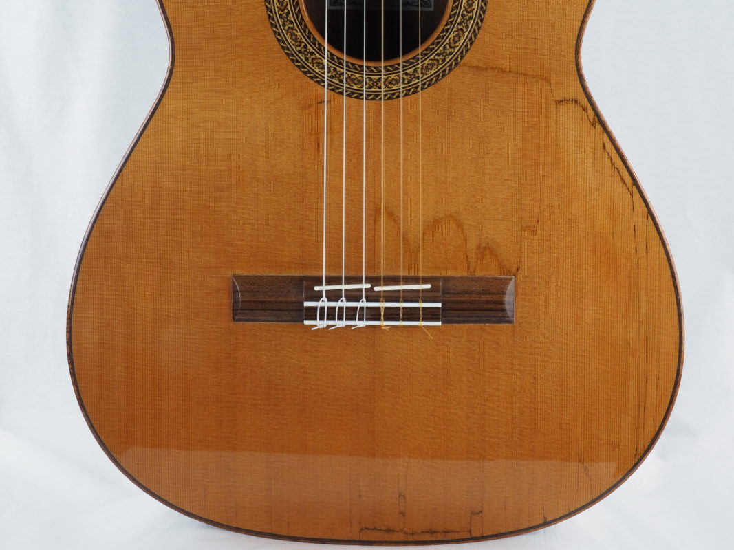 Classical concert guitar