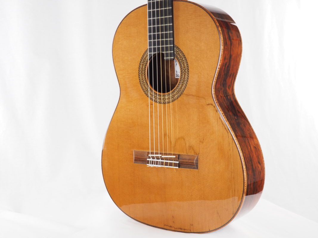 Classical concert guitar