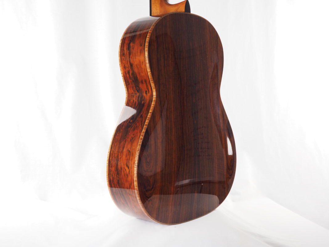 Classical concert guitar