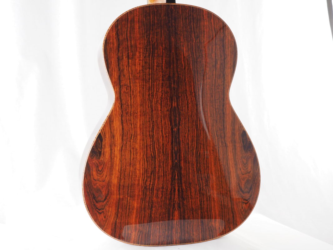 Classical concert guitar