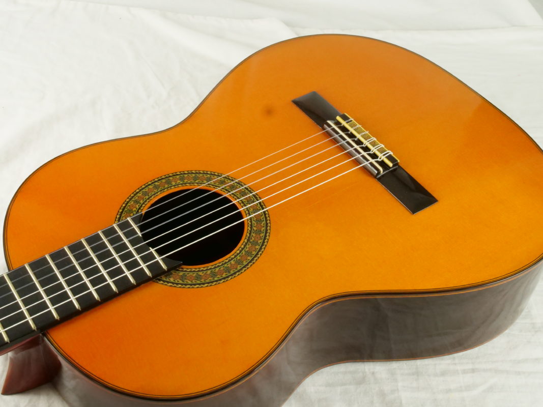 Classical concert guitar