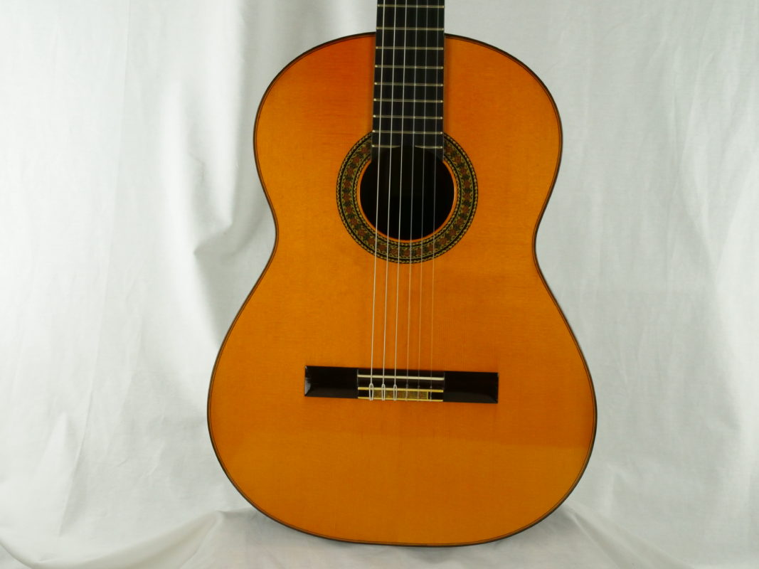 Classical concert guitar