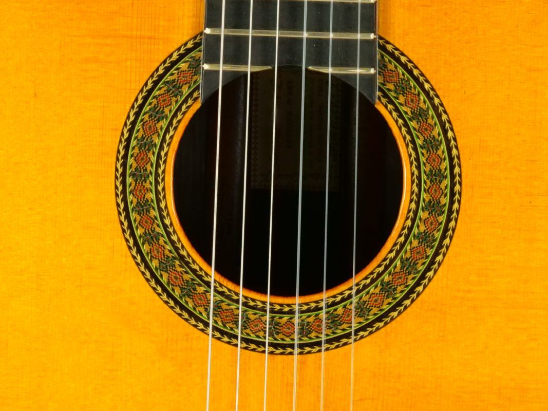 Classical concert guitar