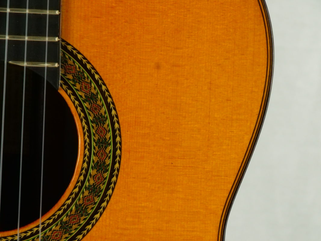 Classical concert guitar