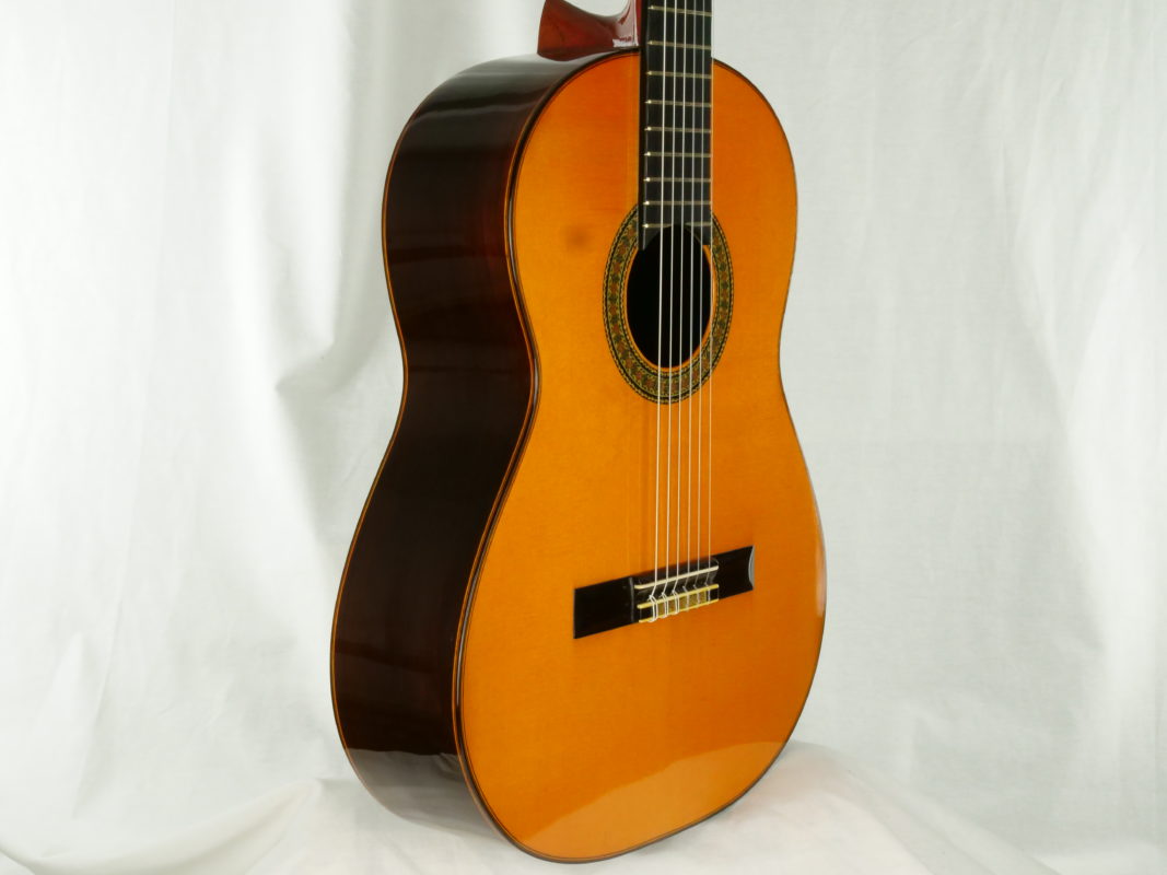Classical concert guitar