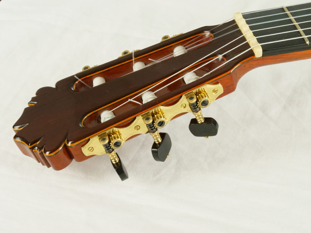 Classical concert guitar