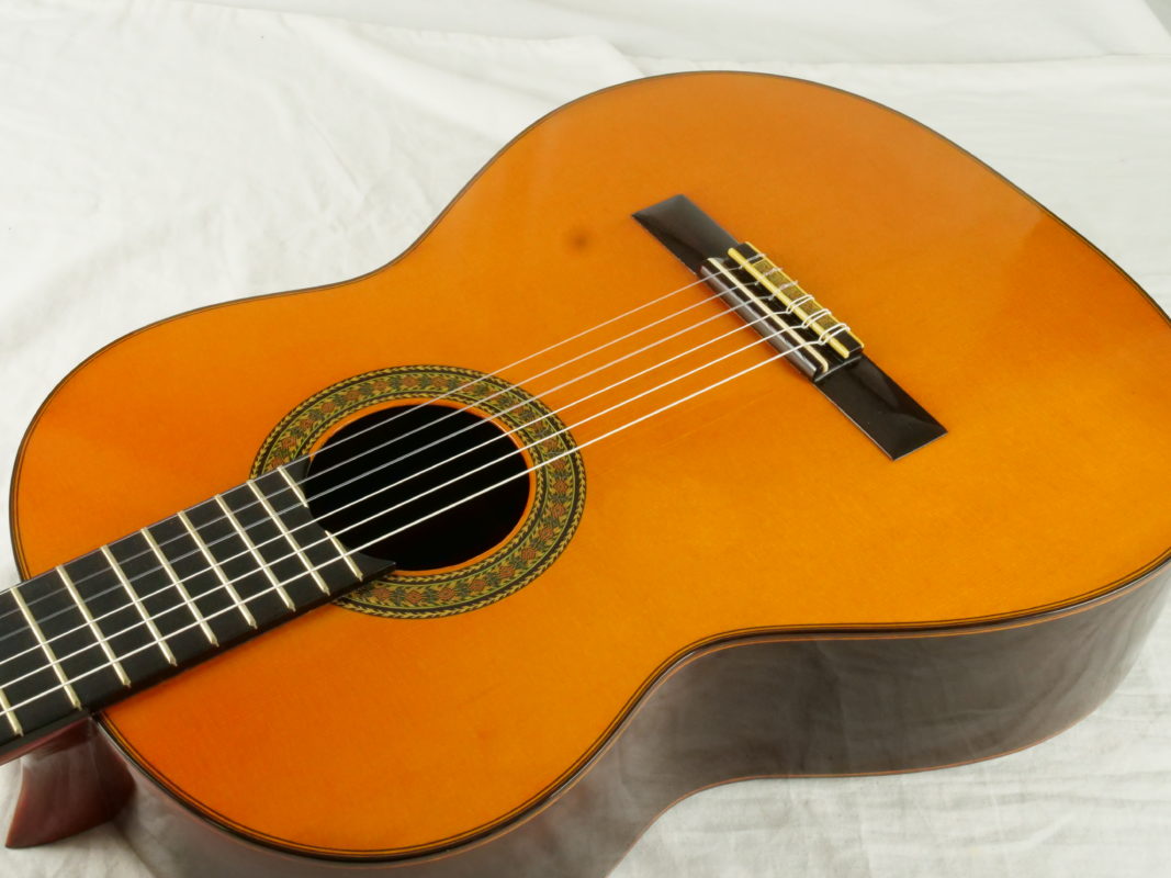 Classical concert guitar
