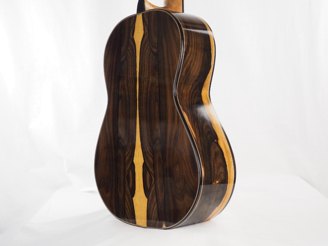 Classical concert guitar