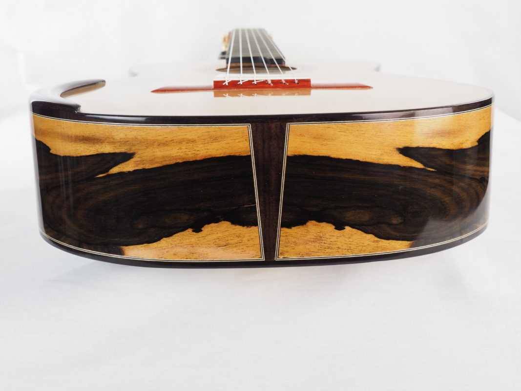 Classical concert guitar