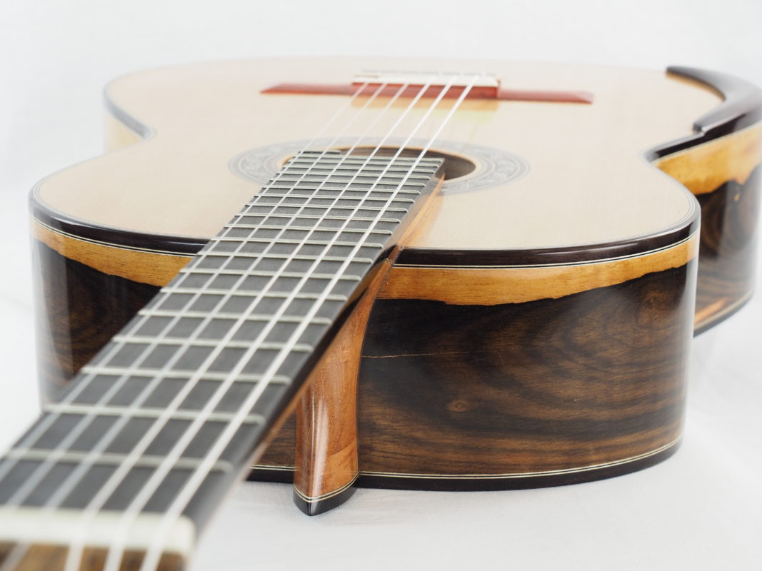 Classical concert guitar