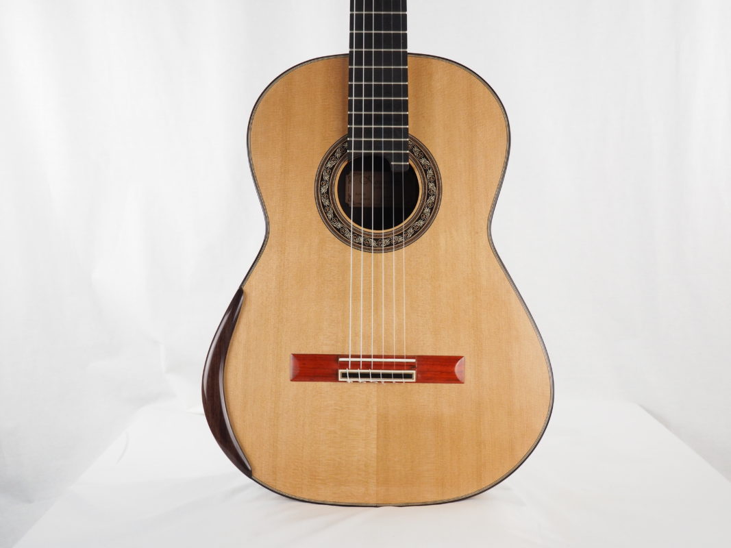 Classical concert guitar