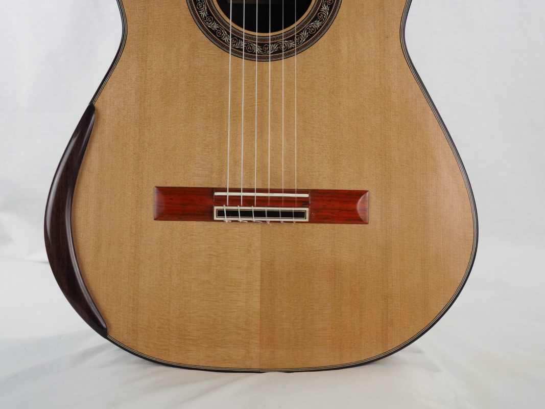 Classical concert guitar