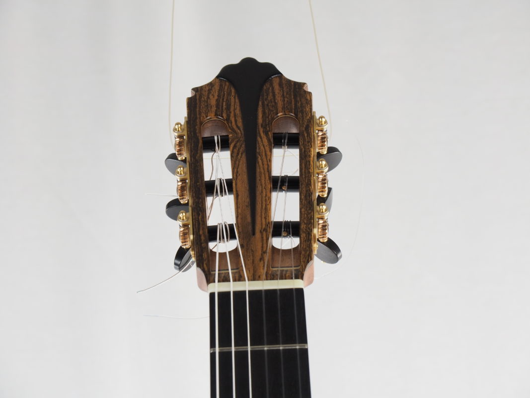 Classical concert guitar