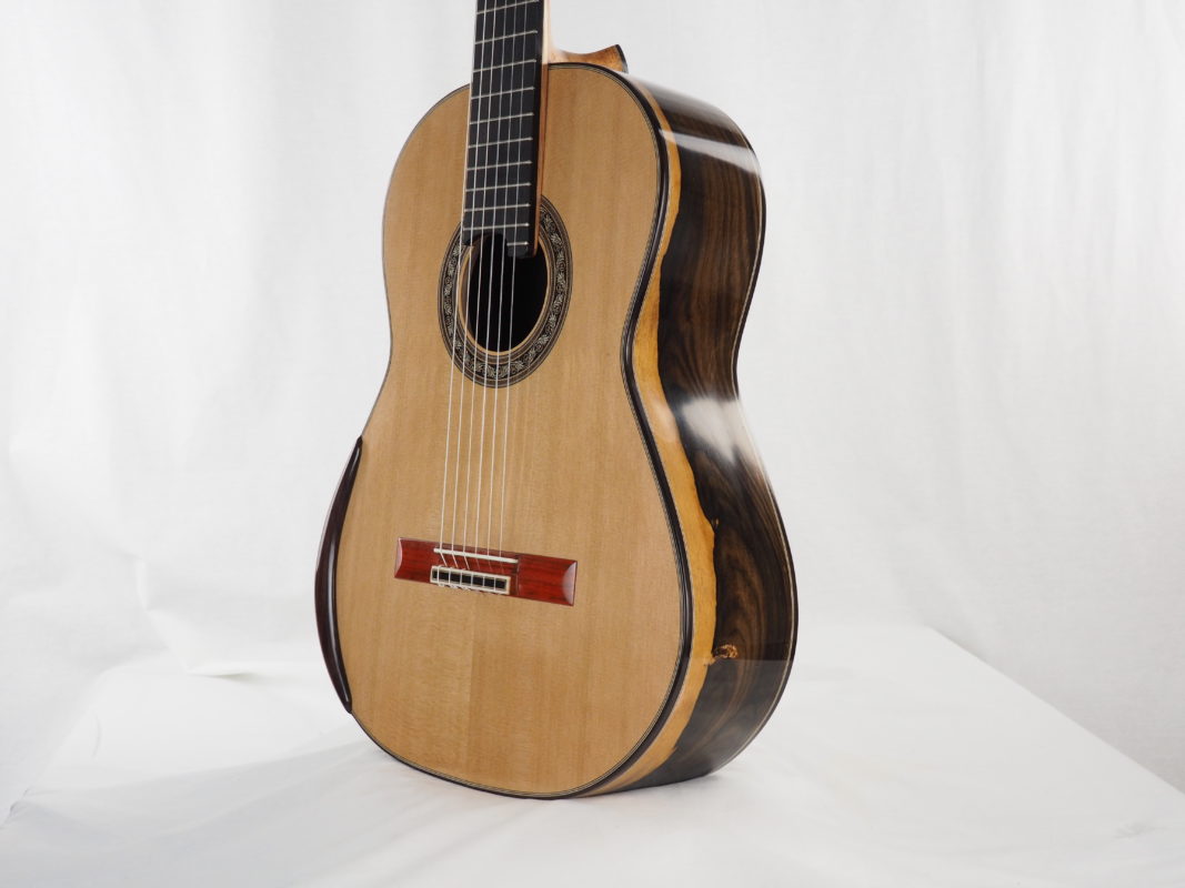 Classical concert guitar
