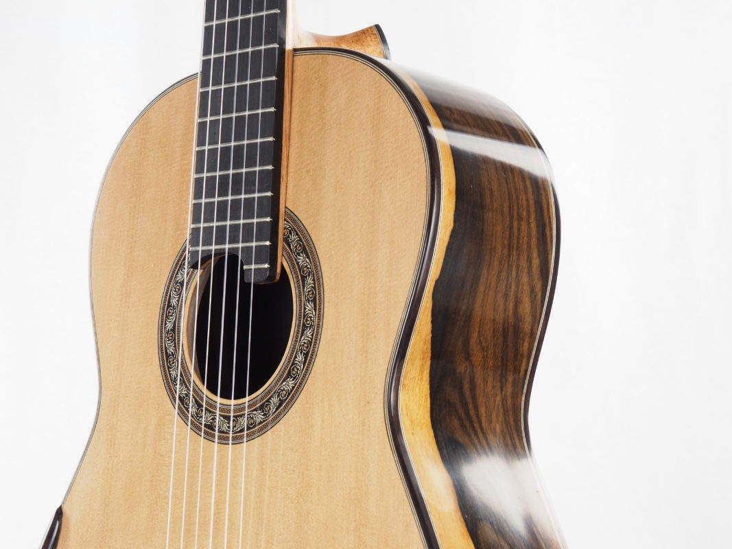 Classical concert guitar