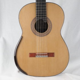 guitare guitars fernandes cleyton meistergitarren luthier double klassische guitares slection