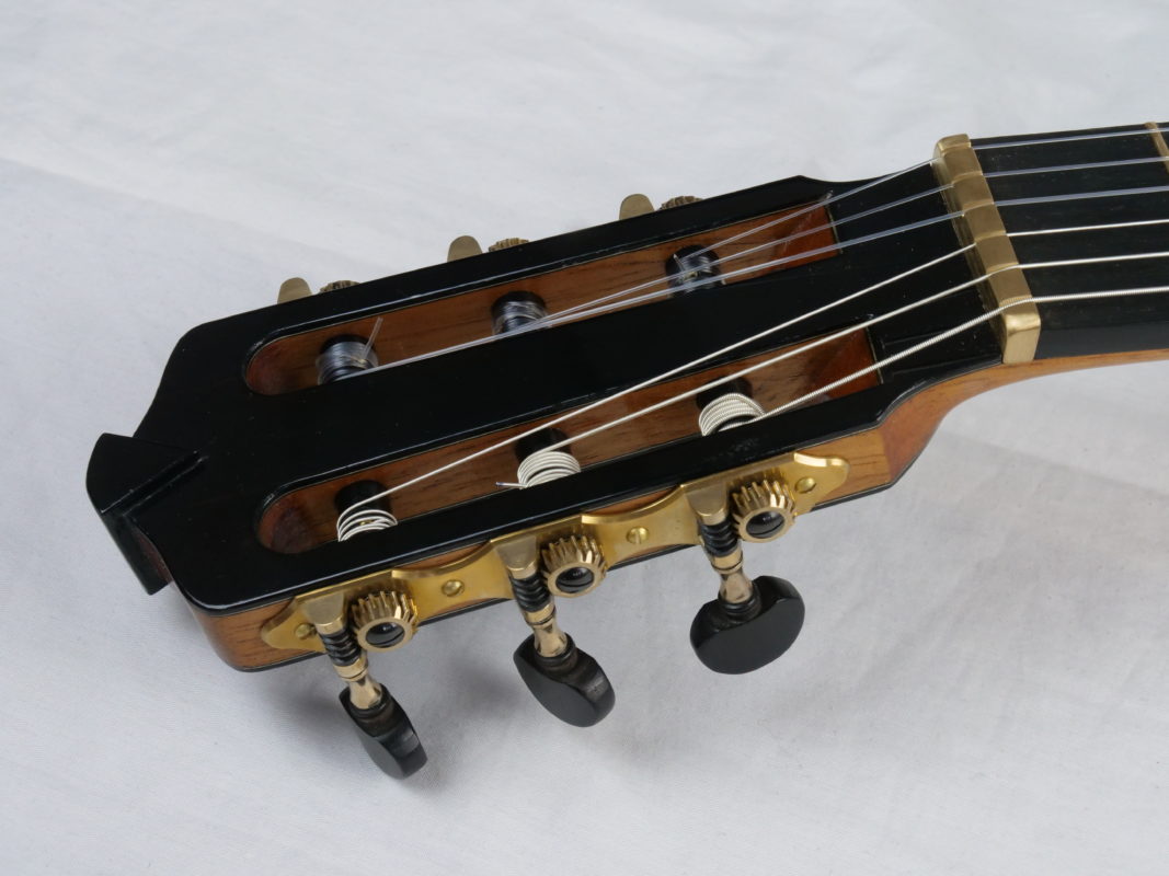 Classical concert guitar