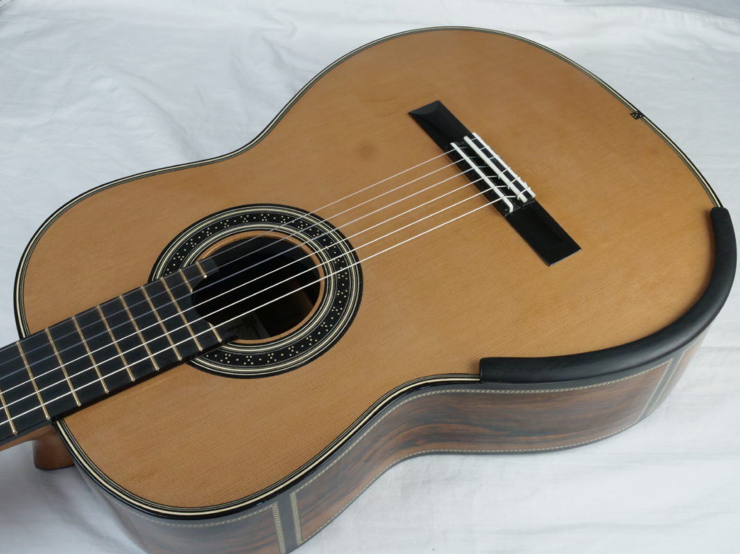 Classical concert guitar