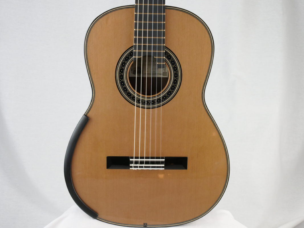 Classical concert guitar