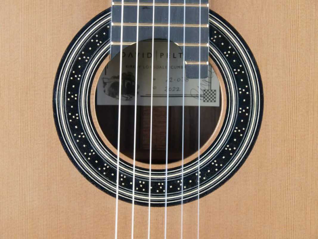 Classical concert guitar