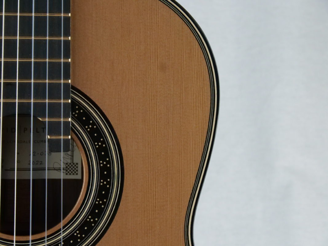Classical concert guitar