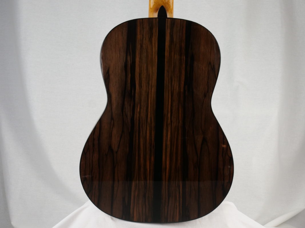 Classical concert guitar