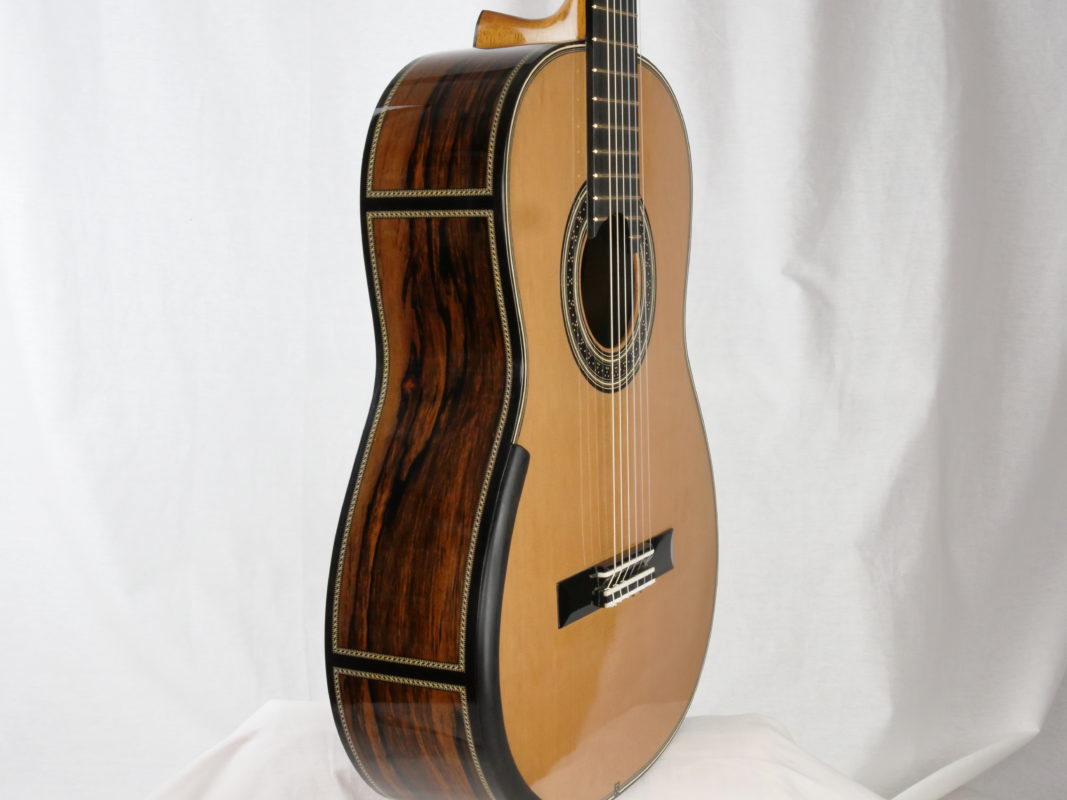 Classical concert guitar