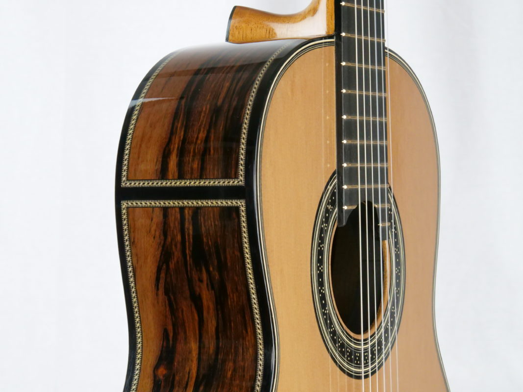 Classical concert guitar
