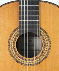 Luthier Dieter Hopf Portentosa Evolucion