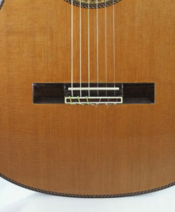 Luthier Dieter Hopf Portentosa Evolucion 2014 No. 4800 20EVO800-09