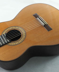 Luthier Dieter Hopf Portentosa Evolucion 2014 No. 4800 20EVO800-05