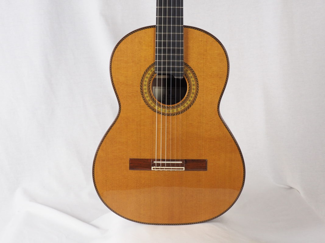 Classical concert guitar