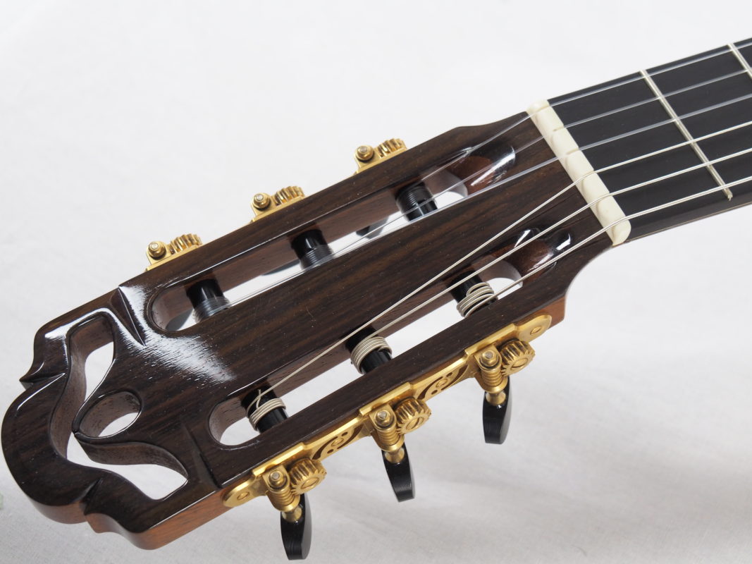 Classical concert guitar