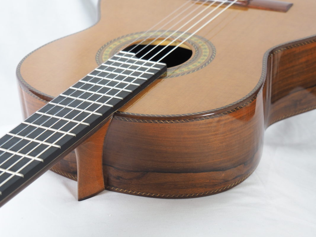 Classical concert guitar