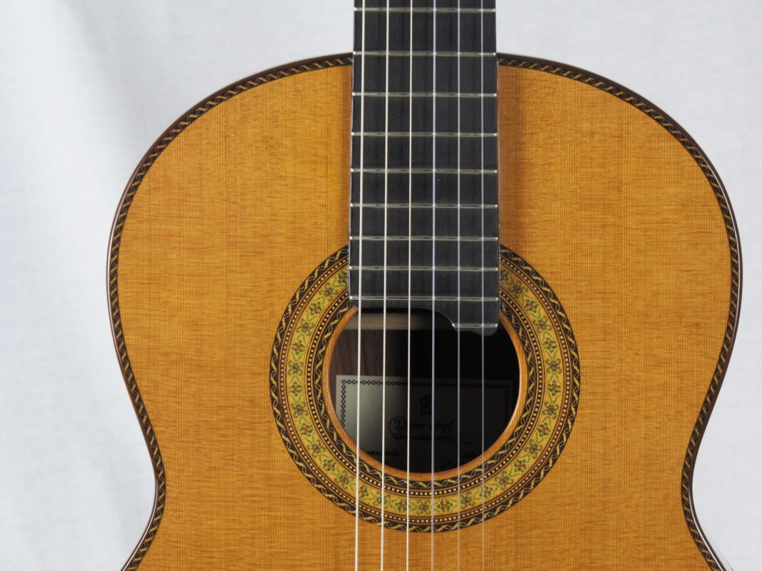 Classical concert guitar