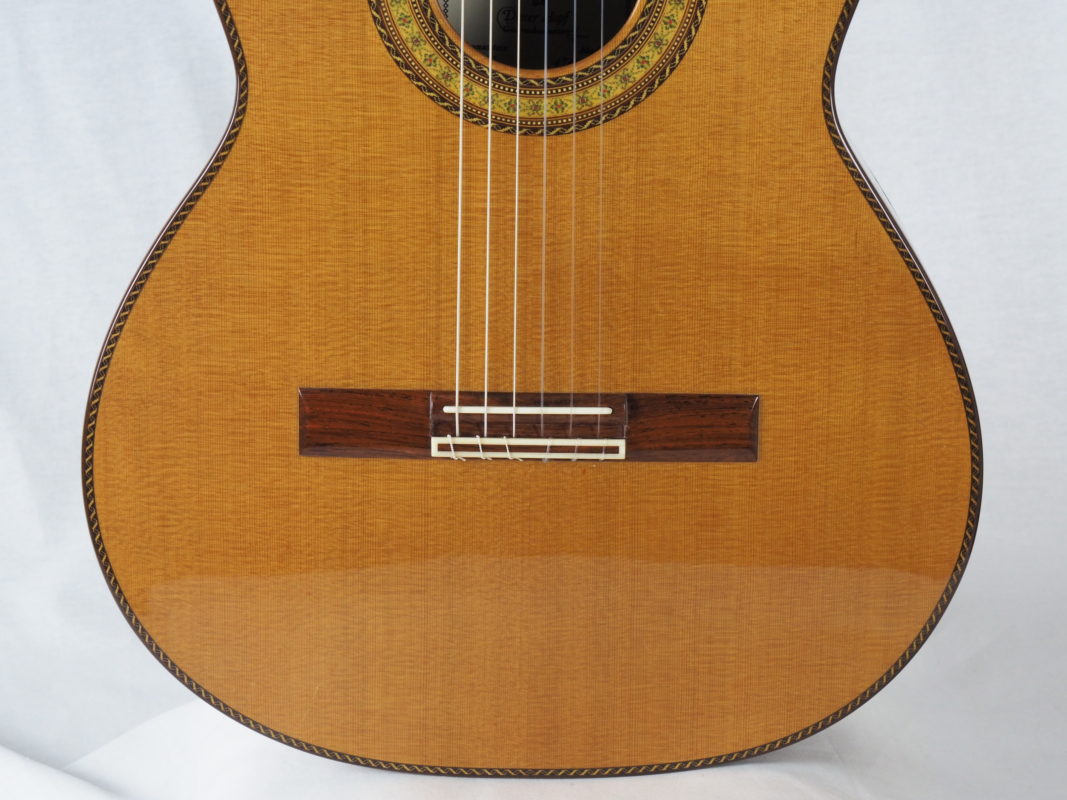 Classical concert guitar