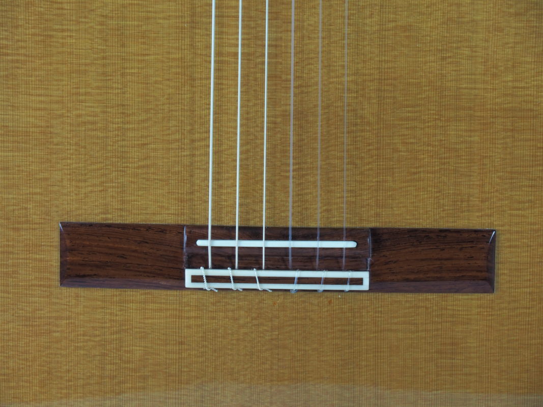 Classical concert guitar