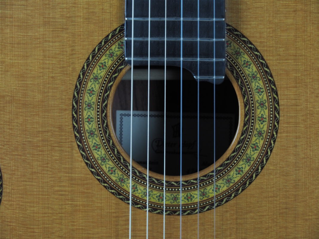 Classical concert guitar