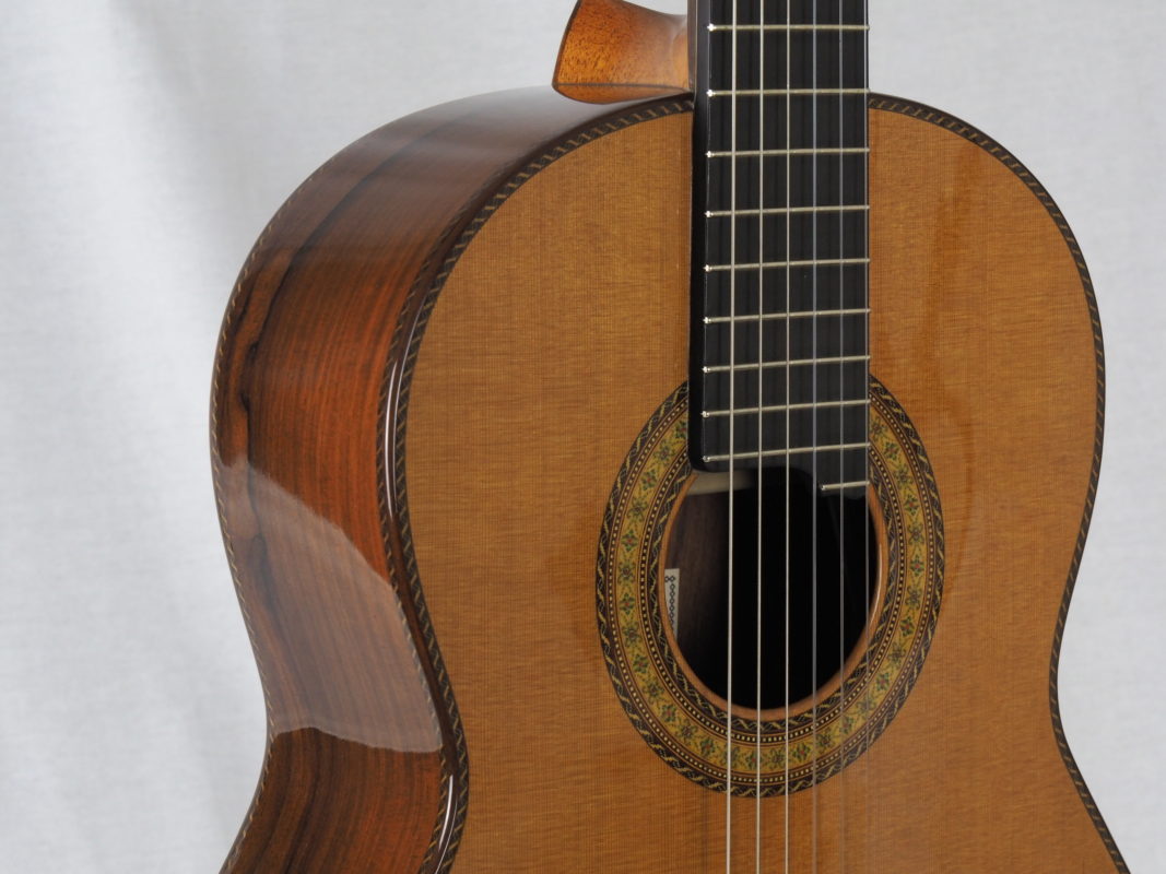 Classical concert guitar