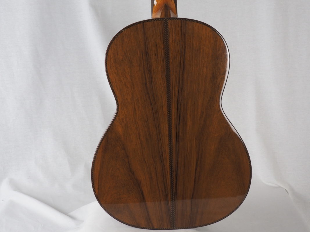 Classical concert guitar