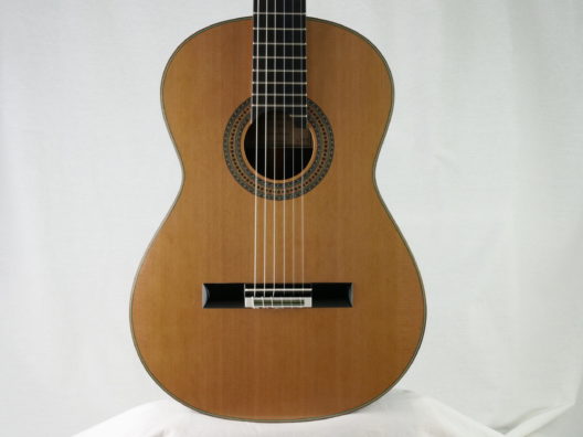 luthier-domenic-roscioli-guitare-classique-2022-n-188-ignacio-fleta-1