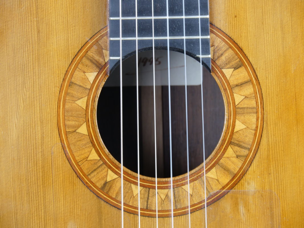 Classical concert guitar